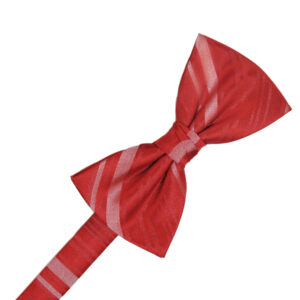 Persimmon Striped Satin Bow tie