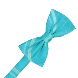 Pool Striped Satin Bow tie
