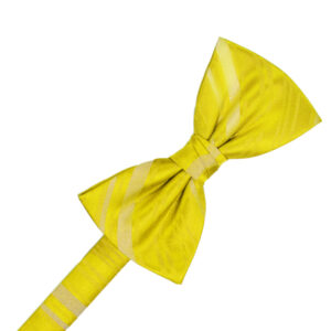 Sunbeam Striped Satin Bow tie