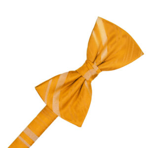 Tangerine Striped Satin Bow tie