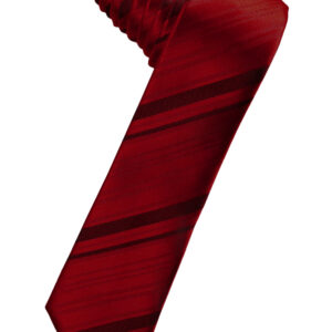 Apple Striped Satin Skinny Windsor