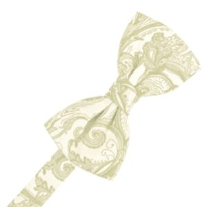 Ivory Tapestry Satin Bow tie