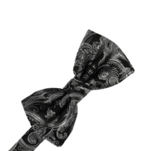 Silver Tapestry Satin Bow tie