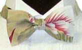 Tropical Bows