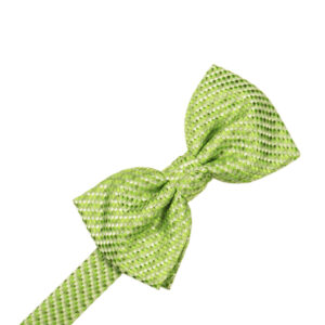 Lime Venetian Bow tie