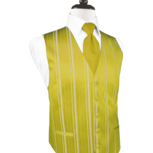 Willow Striped Vest